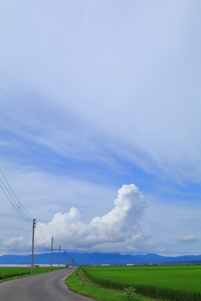 夏空