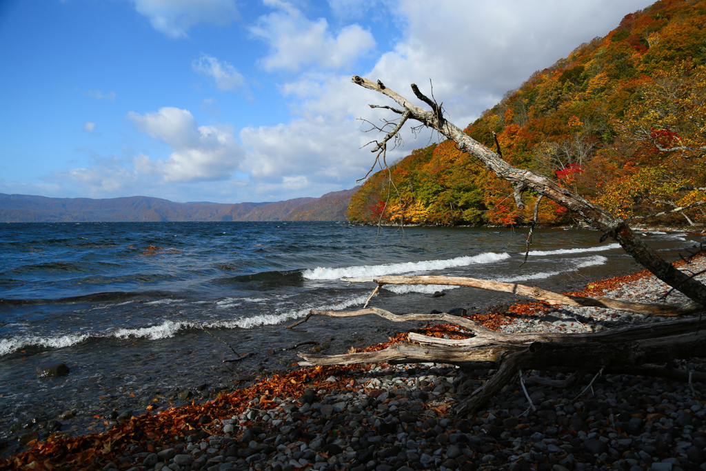 紅葉と空と波と