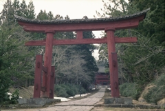 フィルム写真　岩木山神社 2