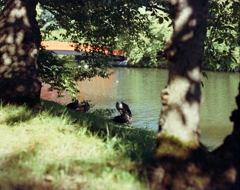 弘前公園　３