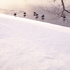 弘前公園