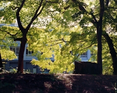 弘前公園　２