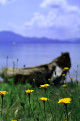 Breeze