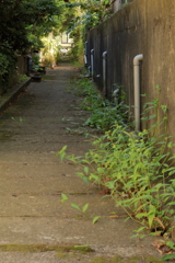 路地
