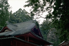 フィルム写真　岩木山神社 6