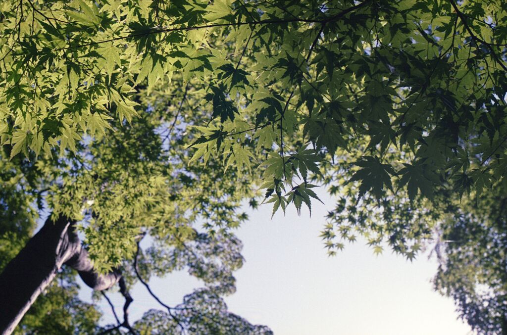 夏が終わる