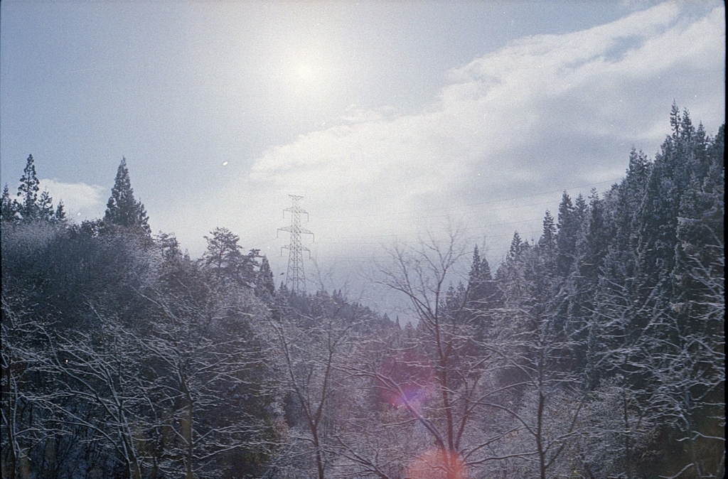 初雪の朝