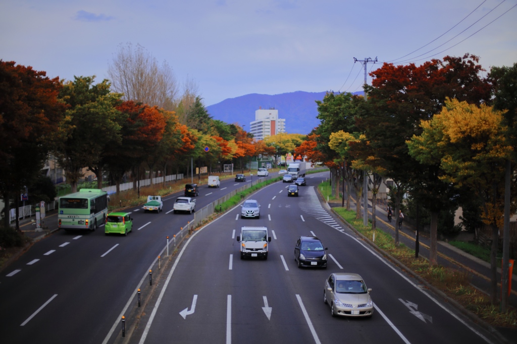 カラフル国道