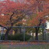 里の紅葉　ブランコ
