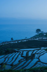 白米 千枚田