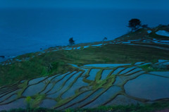 千枚田 (2)