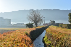 田主丸のあぜ道