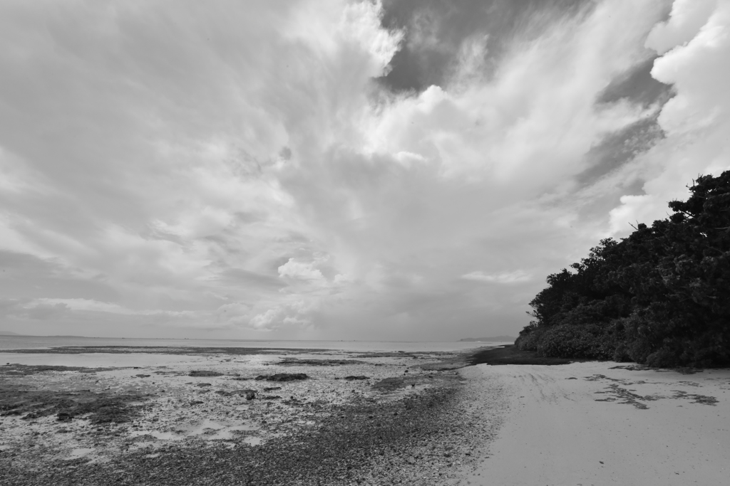 夏の海