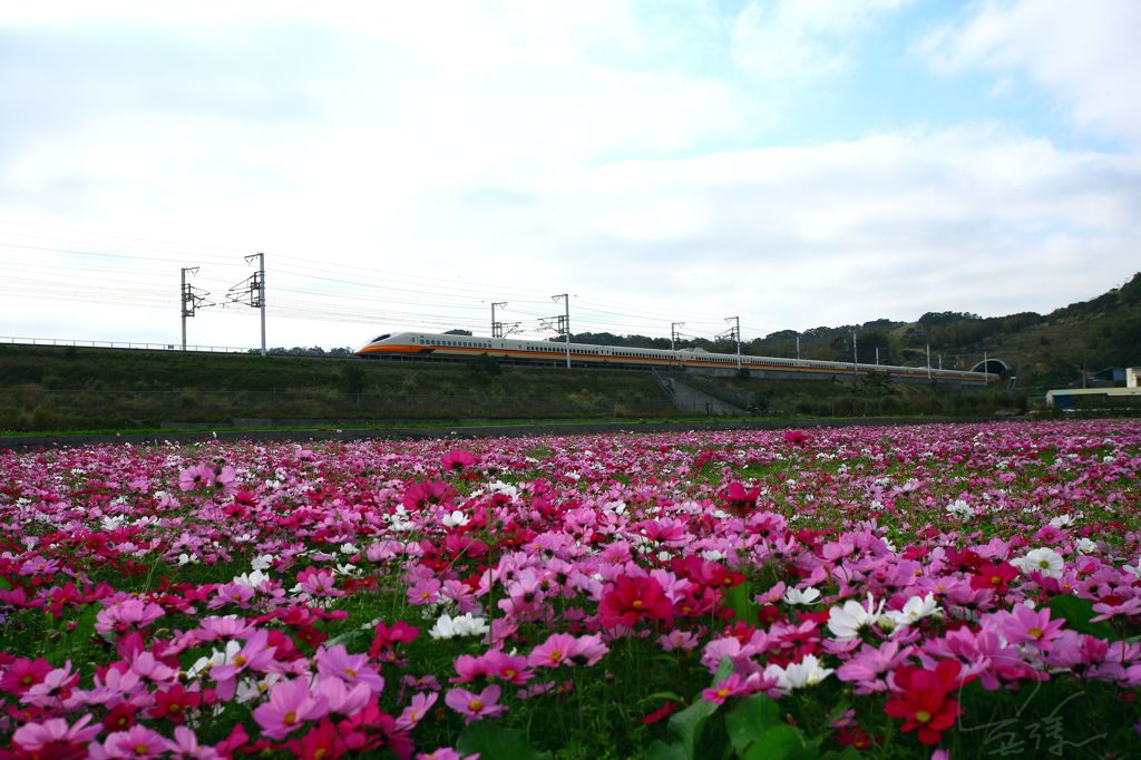 鉄道の旅, 苗栗, 