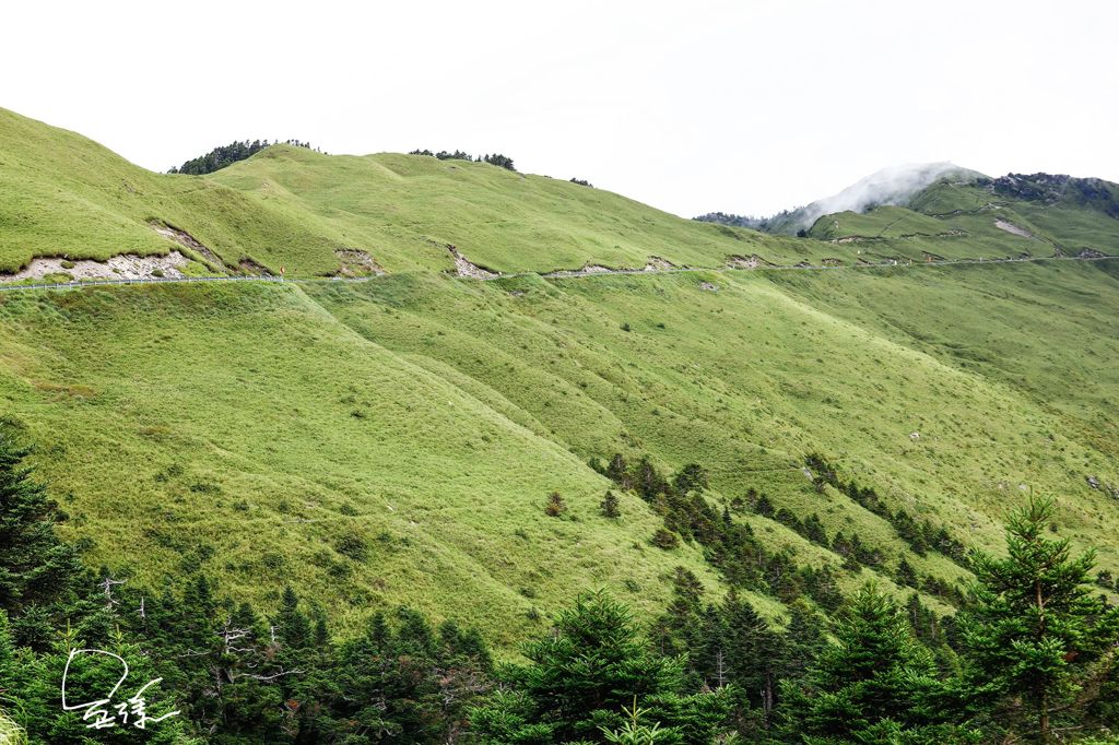 旅遊台灣 合歡山