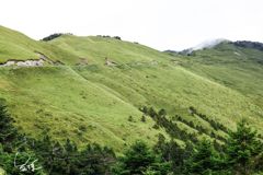 旅遊台灣 合歡山