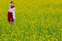 花海