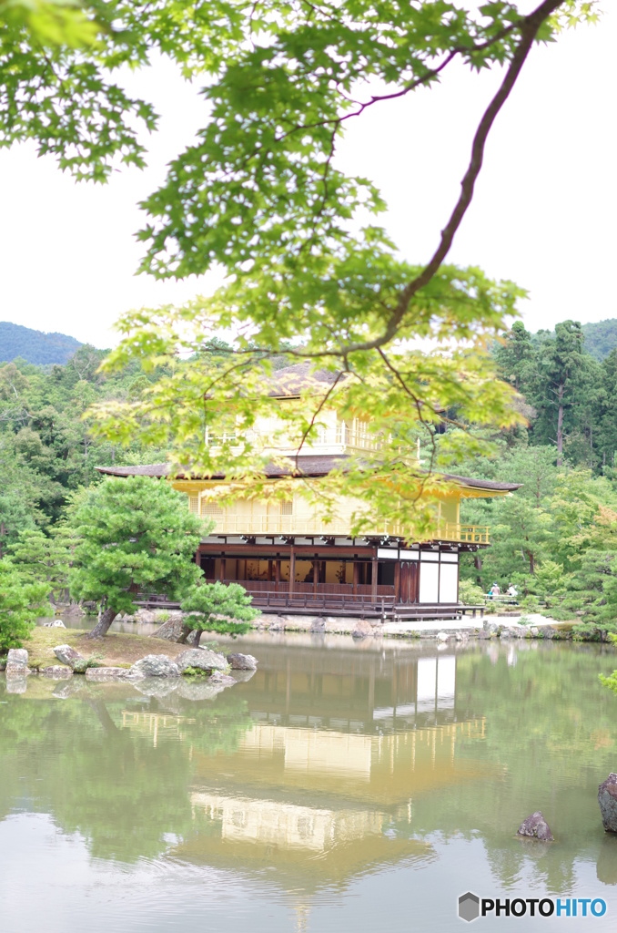 夏の金閣寺