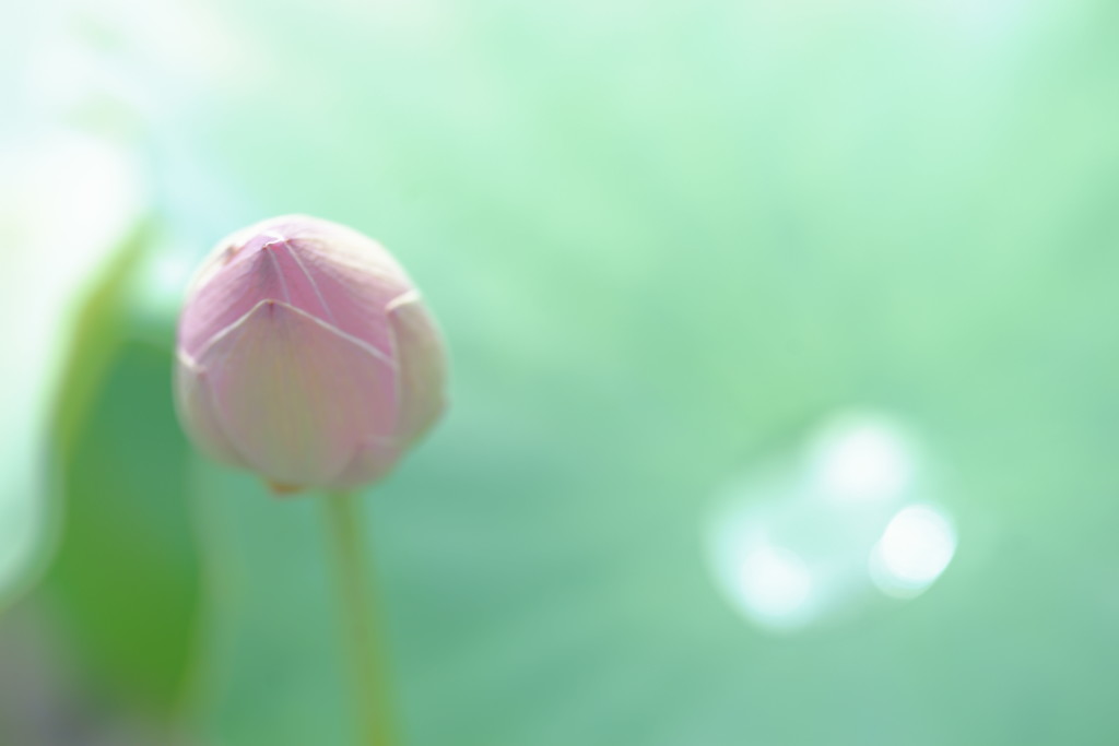 雨上がりの光