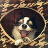 ふぁ〜、眠い。