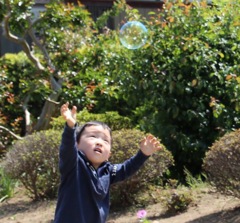 ちょっと背が足りない