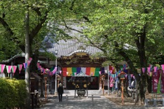 彩り