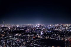 東京夜景