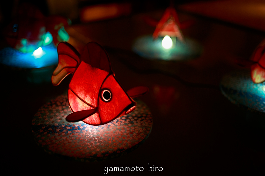 雅叙園。和のあかり。百段階段。金魚。