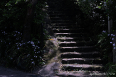 鎌倉。玄関口の階段。