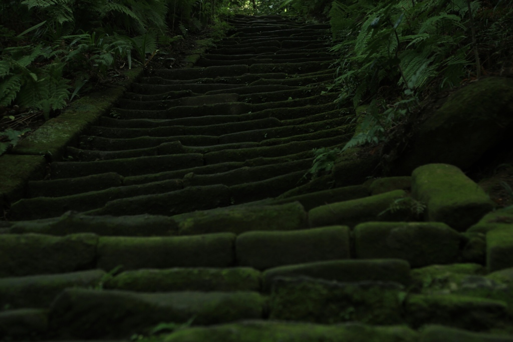 苔階段