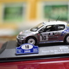 The model of rally car