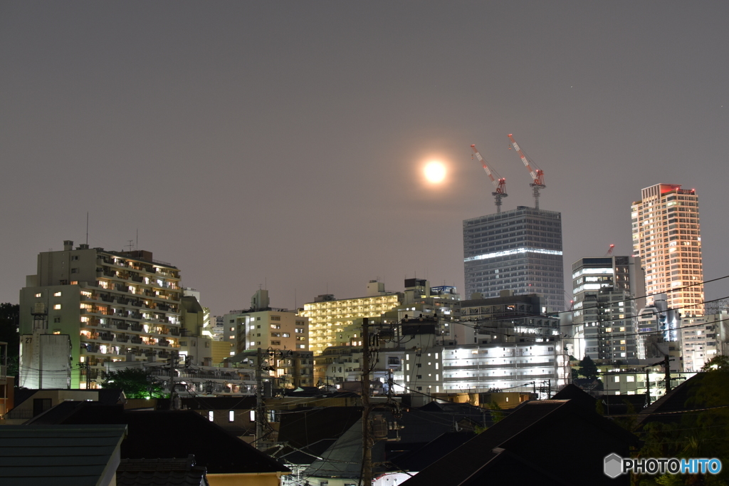 朧月夜？
