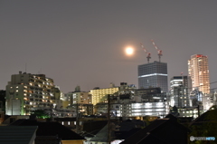 朧月夜？