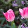 DSC09755