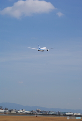 青空へ