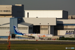 東北　FLOWER JET