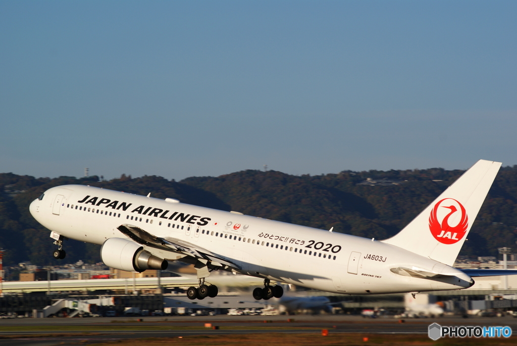 2020 JAL