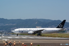STAR　ALLIANCE　