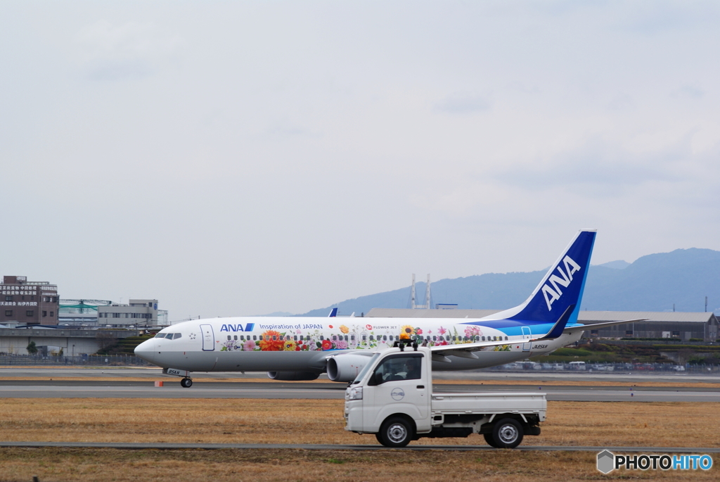 春の運動会