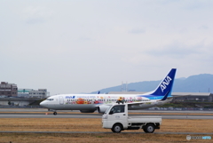 春の運動会