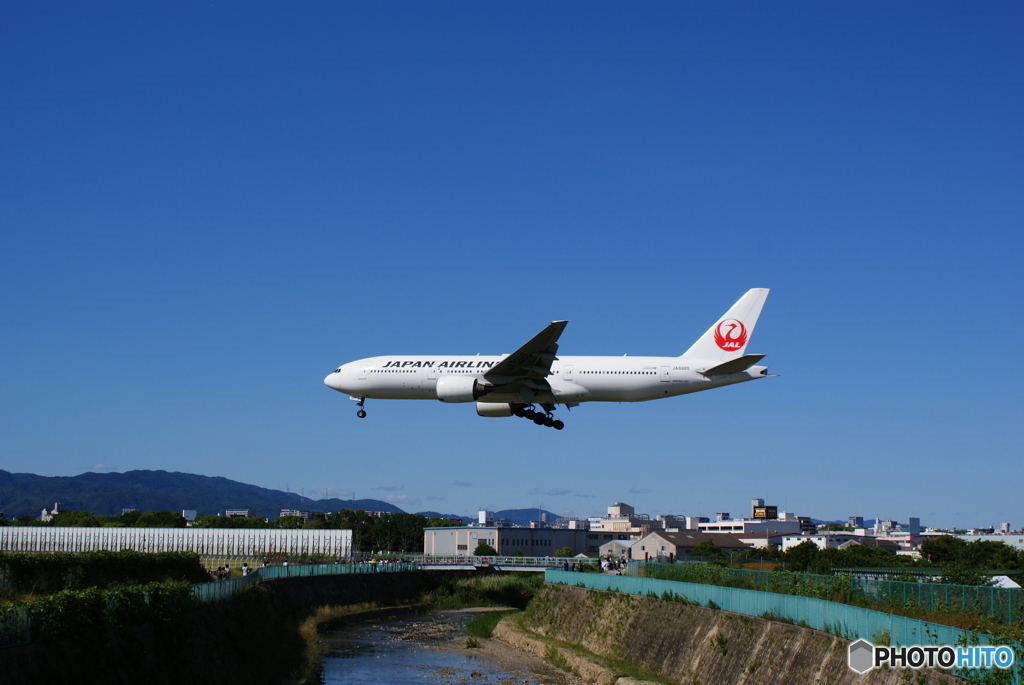 参りました～