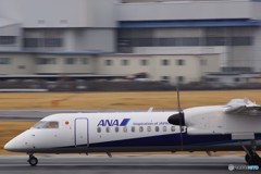 いらっしゃいませー