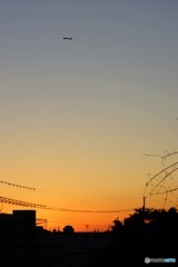 夕暮れ感謝の日