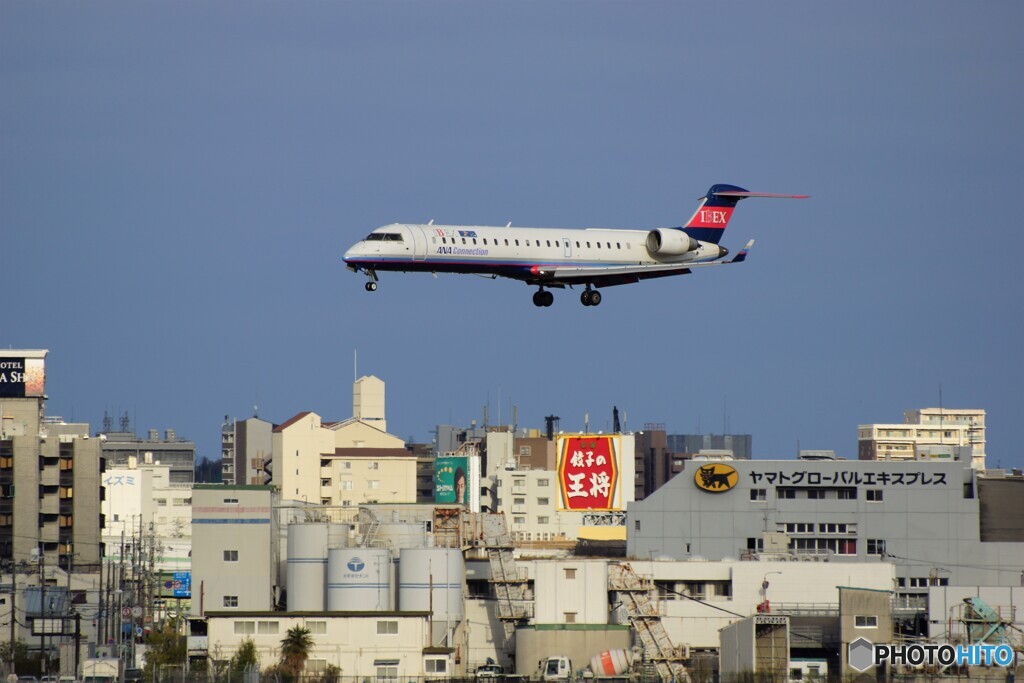 ありがとう！