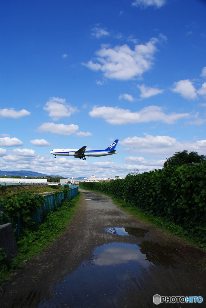 空と水たまり