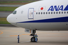 飛ぶもよし