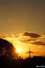 夕日がきれいでした