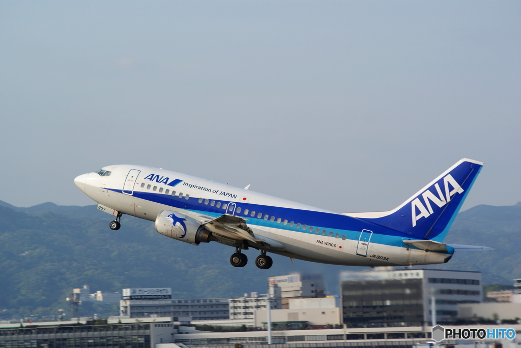 ANA WINGS