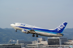 ANA WINGS
