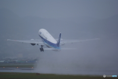 見ごたえあります